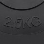 Discos de pesas 6 piezas cemento 30 kg de vidaXL, Peso libre - Ref: Foro24-93599, Precio: 60,60 €, Descuento: %
