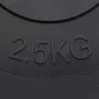 Hantelscheiben 6 Stück Zement 30 kg von vidaXL, freies Gewicht - Ref: Foro24-93599, Preis: 59,97 €, Rabatt: %