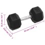 Kurzhanteln 2 Stück Gusseisen 20 kg von vidaXL, freies Gewicht - Ref: Foro24-93604, Preis: 102,14 €, Rabatt: %