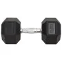 Dumbbells 2 units cast iron 25 kg by vidaXL, free weight - Ref: Foro24-93605, Price: 111,67 €, Discount: %