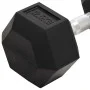 Dumbbells 2 units cast iron 25 kg by vidaXL, free weight - Ref: Foro24-93605, Price: 111,67 €, Discount: %