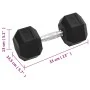 Dumbbells 2 units cast iron 25 kg by vidaXL, free weight - Ref: Foro24-93605, Price: 111,67 €, Discount: %