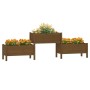 Solid honey brown pine wood planter 245.5x44x75 cm by vidaXL, Pots and planters - Ref: Foro24-822255, Price: 153,28 €, Discou...