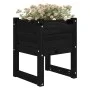 Solid black pine wood planter 40x40x52.5 cm by vidaXL, Pots and planters - Ref: Foro24-822115, Price: 39,64 €, Discount: %