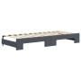 Sofá cama nido con cajones terciopelo gris oscuro 80x200 cm