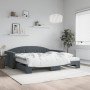 Sofá cama nido con colchón terciopelo gris oscuro 100x200 cm en Camas y somieres | Comprar online en Foro24