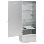 Horno ahumador de BBQ con generador humo frío acero galvanizado