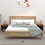 Nachttische 2 Einheiten Räuchereiche 40x35x50 cm von vidaXL, Nachttische - Ref: Foro24-821869, Preis: 43,74 €, Rabatt: %