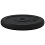 Cast iron weight plates 40 kg by vidaXL, free weight - Ref: Foro24-3145054, Price: 132,18 €, Discount: %