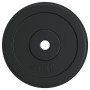 Discos de pesas hierro fundido 40 kg