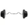 Dumbbell curl with discs 60 kg by vidaXL, free weight - Ref: Foro24-3145019, Price: 152,76 €, Discount: %