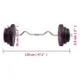 Dumbbell curl with discs 60 kg by vidaXL, free weight - Ref: Foro24-3145019, Price: 152,76 €, Discount: %
