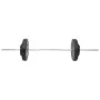 Set of bars and dumbbells with plates 60 kg by vidaXL, free weight - Ref: Foro24-3145024, Price: 153,27 €, Discount: %