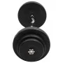 Dumbbell curl with discs 60 kg by vidaXL, free weight - Ref: Foro24-3145018, Price: 148,82 €, Discount: %