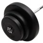 Dumbbell curl with discs 60 kg by vidaXL, free weight - Ref: Foro24-3145018, Price: 148,82 €, Discount: %