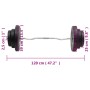 Dumbbell curl with discs 60 kg by vidaXL, free weight - Ref: Foro24-3145018, Price: 152,21 €, Discount: %