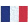 Aluminum France flag and mast 5.55 m by vidaXL, Flags and windsocks - Ref: Foro24-3147123, Price: 64,03 €, Discount: %