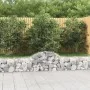 Gabion baskets 2 pcs arc shape iron 200x30x40/60 cm by vidaXL, Pots and planters - Ref: Foro24-3146047, Price: 86,32 €, Disco...