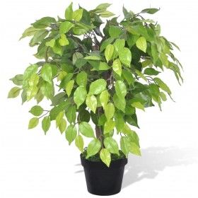 Planta enana artificial de ficus en maceta, 60 cm