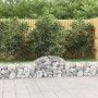 Gabionenkörbe 5 Stück Bogenform Eisen 200x30x40/60 cm von vidaXL, Töpfe und Pflanzgefäße - Ref: Foro24-3146050, Preis: 212,77...
