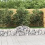 Gabionenkörbe 3 Stück Bogenform Eisen 200x30x40/60 cm von vidaXL, Töpfe und Pflanzgefäße - Ref: Foro24-3146048, Preis: 128,78...