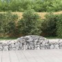 Gabionenkörbe 6 Stück Bogenform Eisen 300x50x40/60 cm von vidaXL, Töpfe und Pflanzgefäße - Ref: Foro24-3146651, Preis: 486,44...