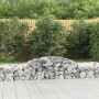 Gabionenkörbe 8 Stück Bogenform Eisen 300x50x40/60 cm von vidaXL, Töpfe und Pflanzgefäße - Ref: Foro24-3146653, Preis: 618,65...