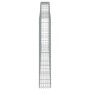 Gabionenkörbe 2 Stück Bogenform Eisen 400x30x180/200 cm von vidaXL, Töpfe und Pflanzgefäße - Ref: Foro24-3146918, Preis: 448,...
