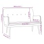 Banco de terciopelo gris claro 108x79x79 cm de vidaXL, Bancos - Ref: Foro24-351414, Precio: 139,60 €, Descuento: %