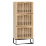 Plywood shoe cabinet 52x25x120 cm by vidaXL, Shoe racks and shoe organizers - Ref: Foro24-352129, Price: 123,65 €, Discount: %