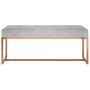 Banco de terciopelo gris 110x36x45 cm de vidaXL, Bancos para recibidores y almacenamiento - Ref: Foro24-350603, Precio: 99,16...