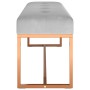 Banco de terciopelo gris 110x36x45 cm de vidaXL, Bancos para recibidores y almacenamiento - Ref: Foro24-350603, Precio: 99,16...