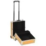 Goldener Make-up-Trolley aus Aluminium, 35 x 29 x 45 cm von vidaXL, Kulturbeutel - Ref: Foro24-91827, Preis: 61,35 €, Rabatt: %