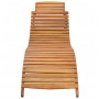 Tumbona de madera maciza de acacia marrón de vidaXL, Tumbonas - Ref: Foro24-46650, Precio: 147,54 €, Descuento: %