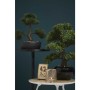 Emerald Mini artificial green Ficus bonsai 47 cm 420006 by Emerald, artificial flora - Ref: Foro24-414506, Price: 77,29 €, Di...