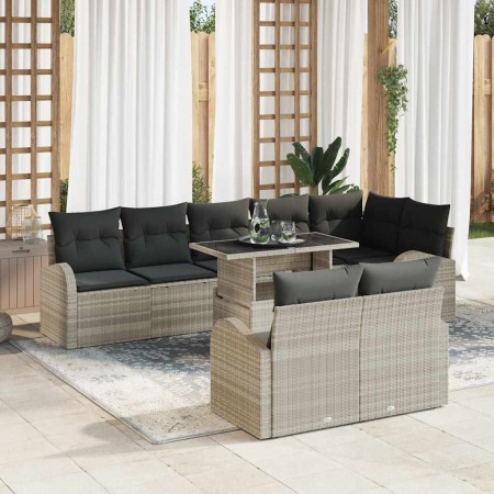Conjunto de sofá de jardín 9 pcs Gris claro 100 x 55 x 73 cm
