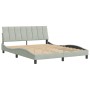 Estructura de cama sin colchón terciopelo gris claro 160x200 cm