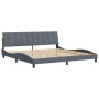Estructura cama sin colchón terciopelo gris oscuro 200x200 cm