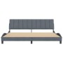 Estructura cama sin colchón terciopelo gris oscuro 200x200 cm