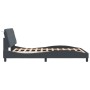 Estructura de cama sin colchón terciopelo gris oscuro 120x200cm