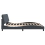 Estructura cama sin colchón terciopelo gris oscuro 200x200 cm