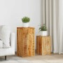 Soportes para plantas 2 unidades madera maciza de mango