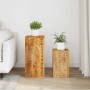 Soportes para plantas 2 unidades madera maciza de mango