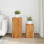 Soportes para plantas 2 unidades madera maciza de acacia