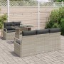 Conjunto de sofá de jardín 6 pcs Gris claro 100 x 55 x 73 cm