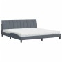 Cama con colchón terciopelo gris oscuro 200x200 cm