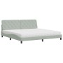 Cama con colchón terciopelo gris claro 200x200 cm