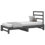 Abnehmbares Schlafsofa aus massivem, grauem Kiefernholz, 2 x (90 x 200) cm von vidaXL, Betten und Lattenroste - Ref: Foro24-3...