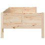 Sofá cama madera maciza de pino 80x200 cm de vidaXL, Camas y somieres - Ref: Foro24-820242, Precio: 108,90 €, Descuento: %