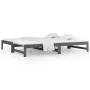 Abnehmbares Schlafsofa aus massivem, grauem Kiefernholz, 2 x (90 x 200) cm von vidaXL, Betten und Lattenroste - Ref: Foro24-8...